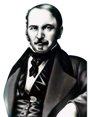 Odoo • Texto e imagen