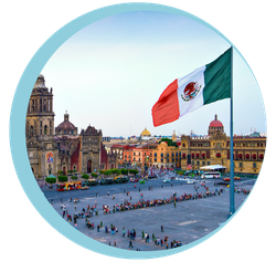 Odoo • Texto e imagen